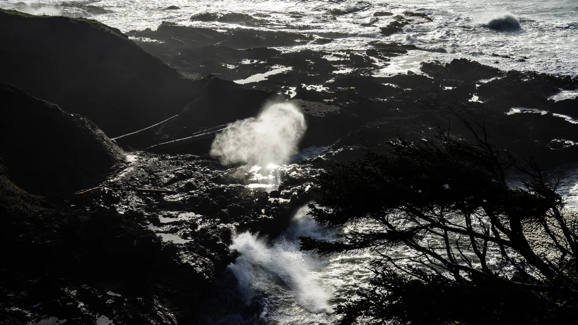 Cape Perpetua - supporting photo 2