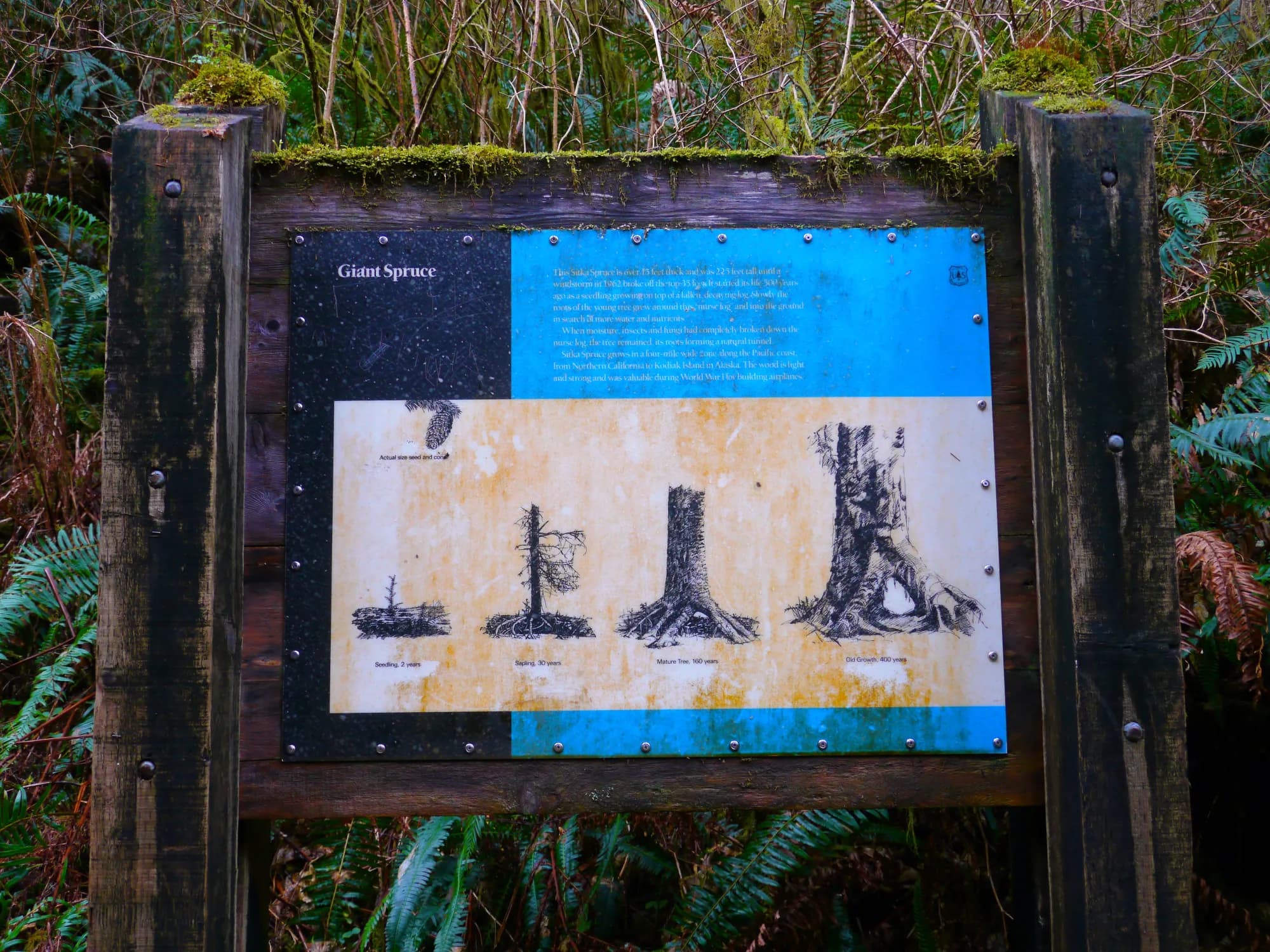Cape Perpetua - supporting photo 3