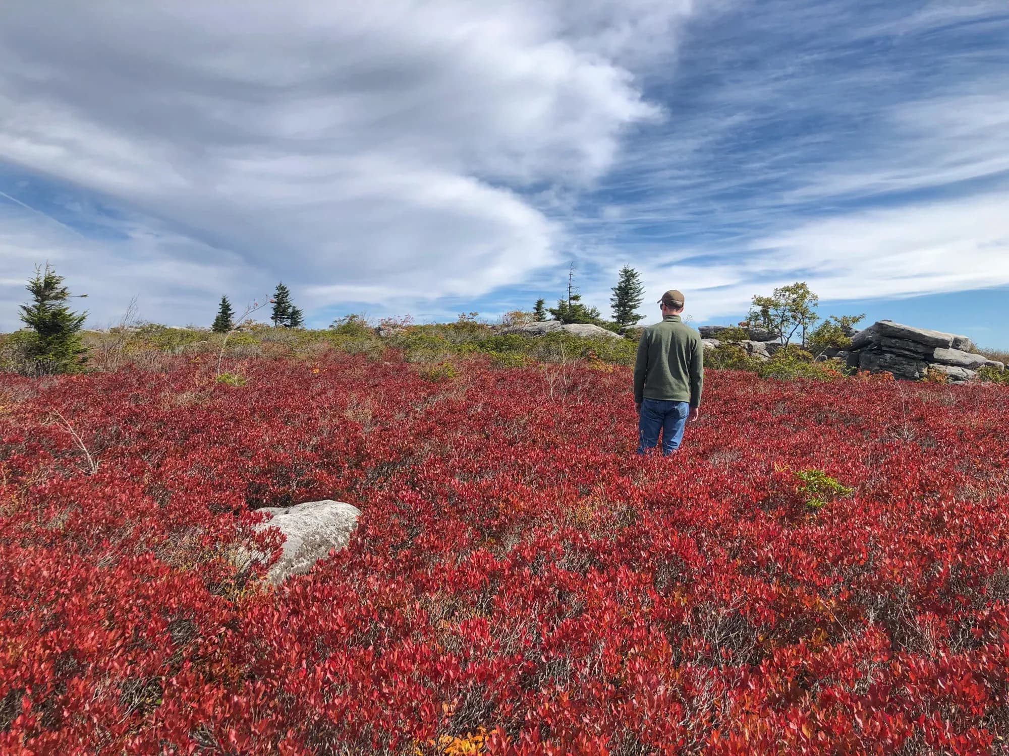 Dolly Sods - supporting photo 2