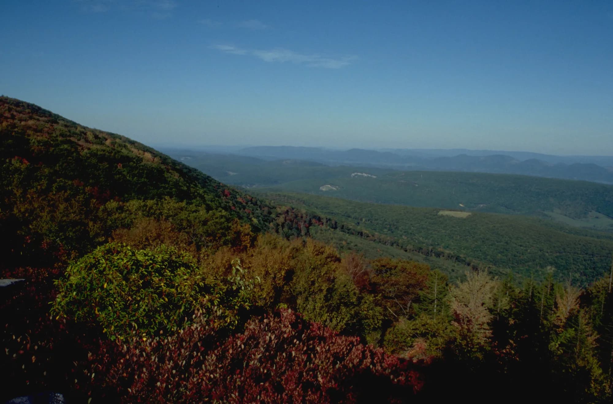 Dolly Sods - supporting photo 3