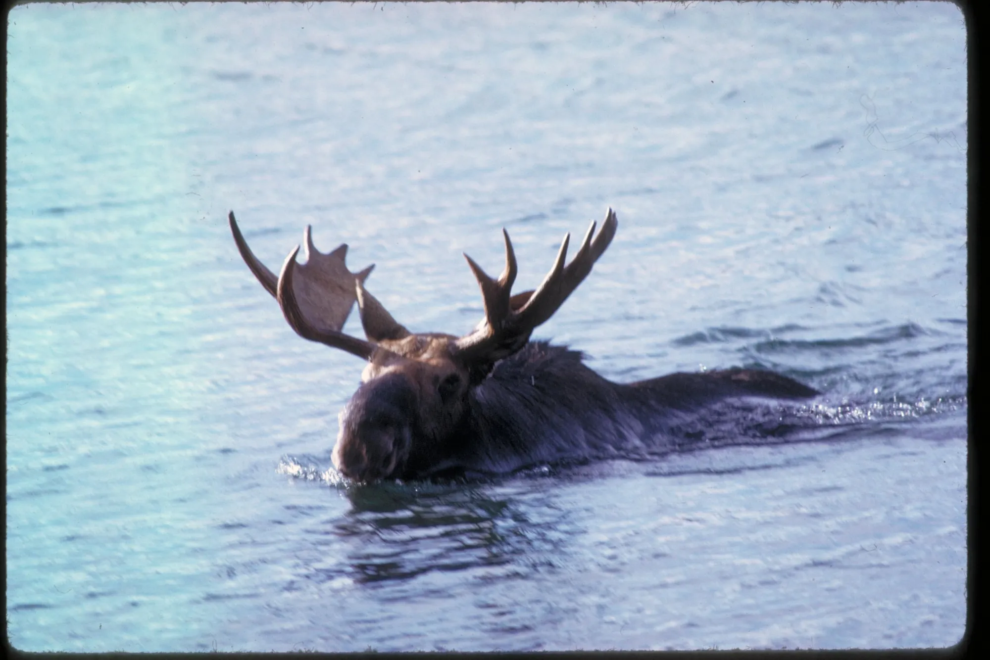 Isle Royale - supporting photo