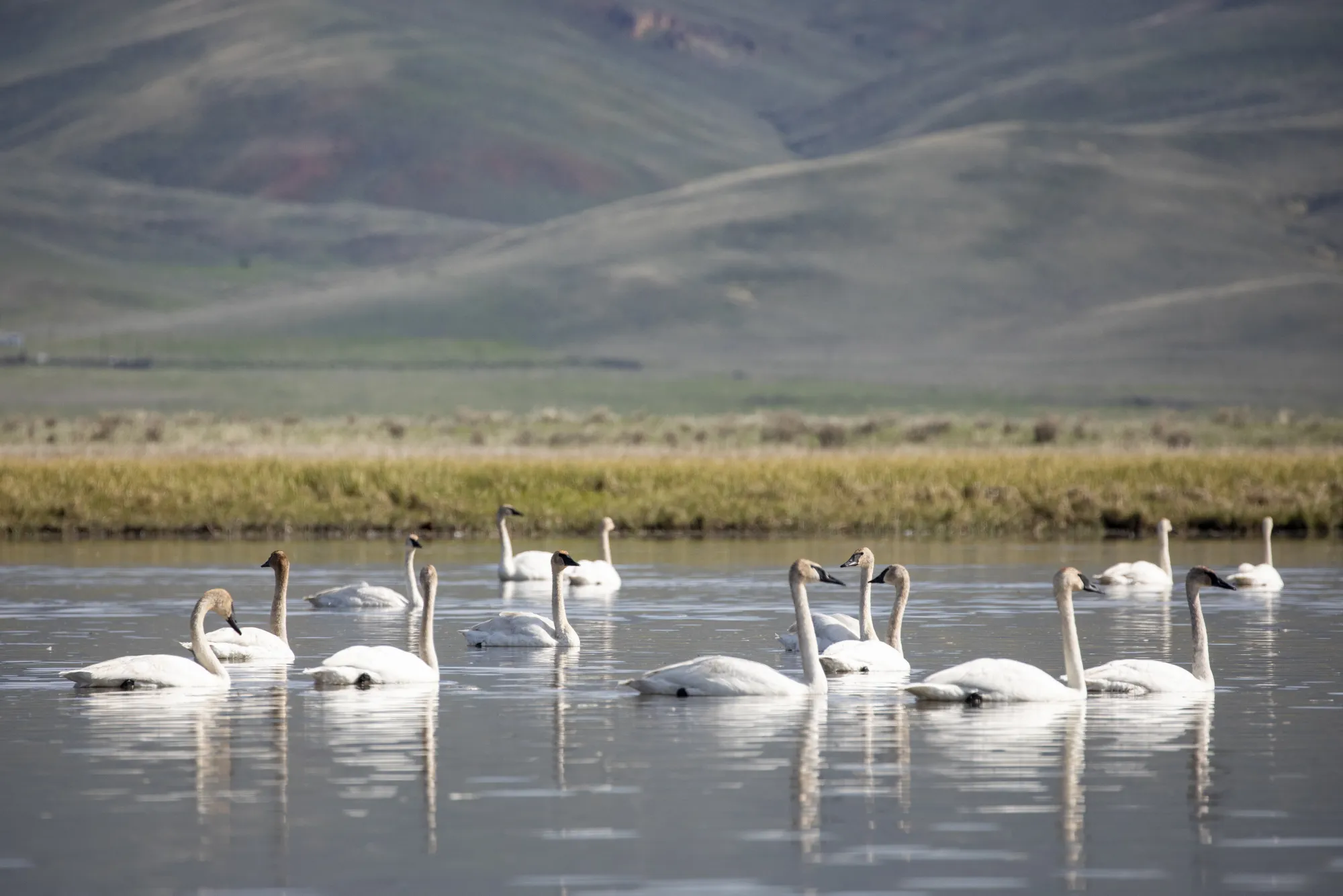 Red Rock Lakes