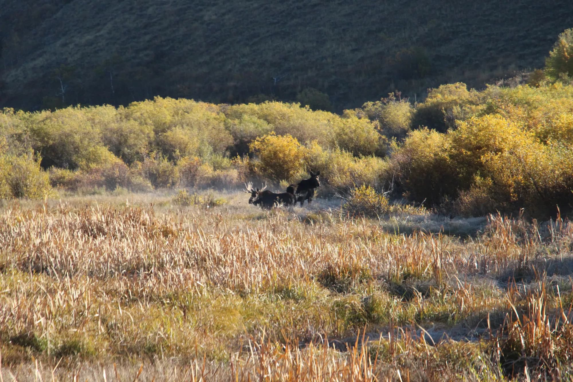 Red Rock Lakes - supporting photo 3