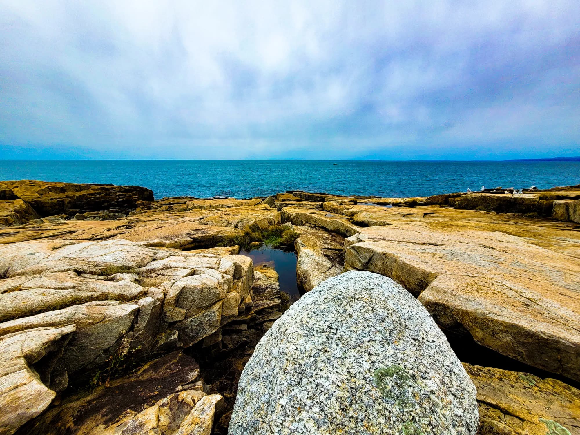 Schoodic Peninsula - supporting photo