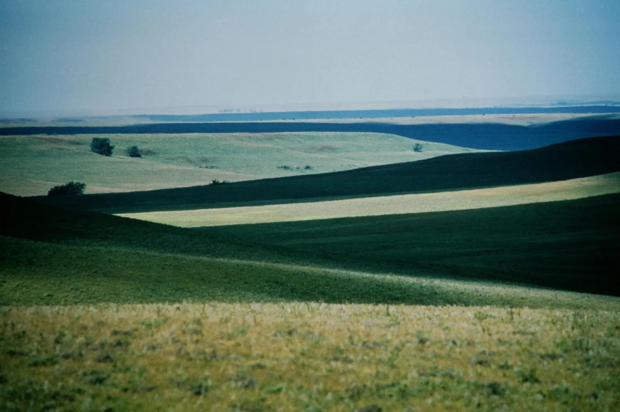 Tallgrass Prairie - supporting photo 2