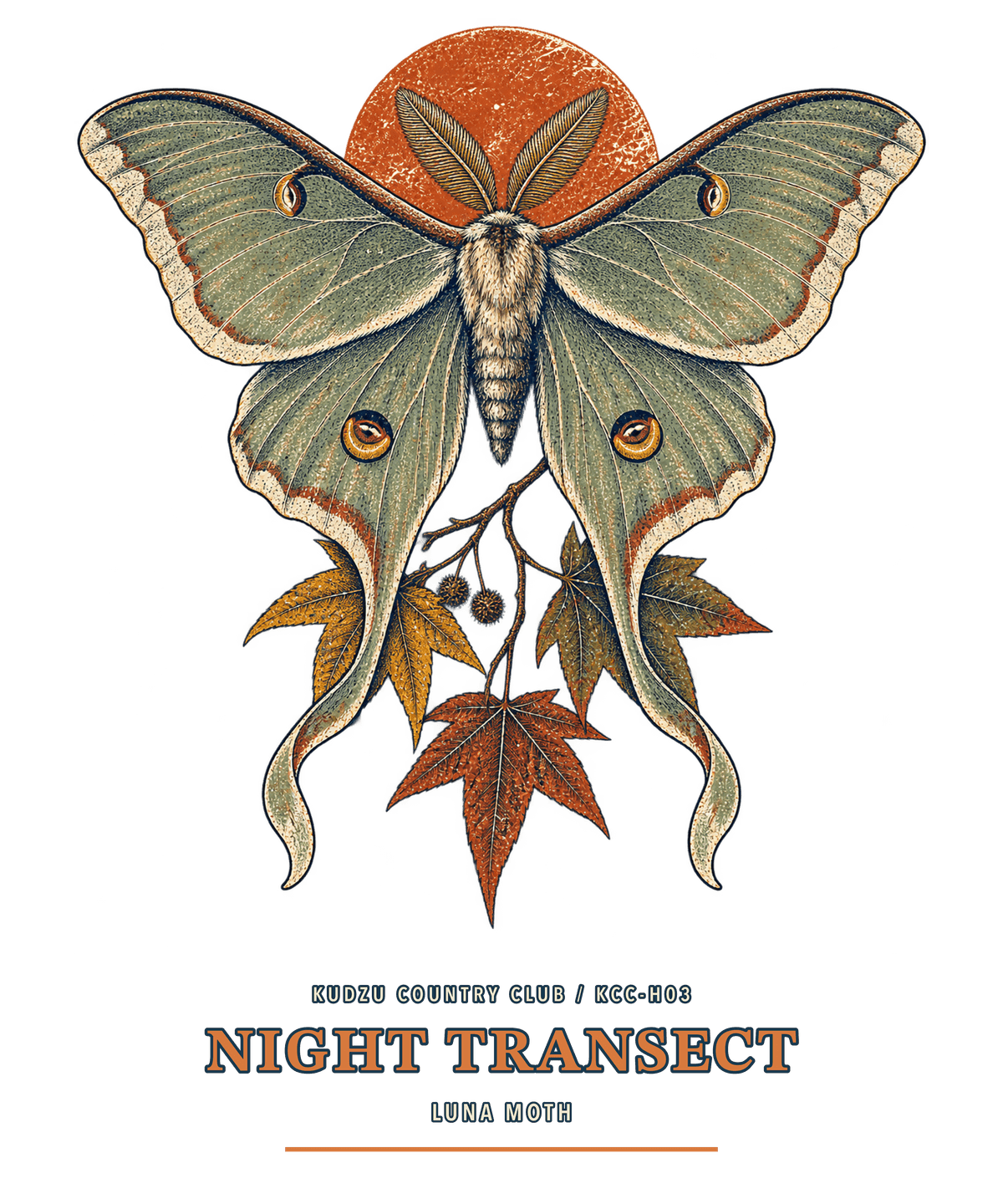 Night Transect original artwork