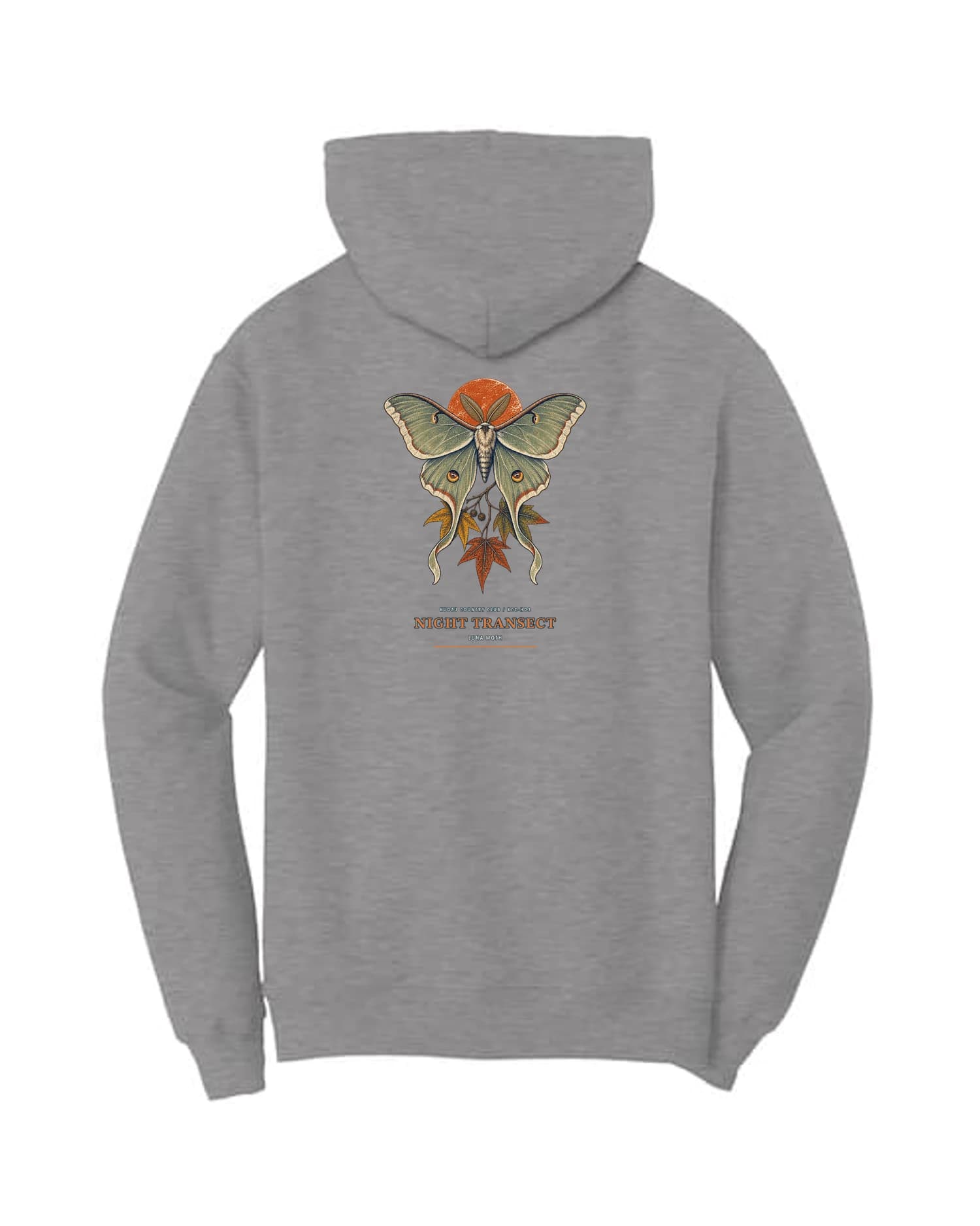Night Transect hoodie in Athletic Heather, back view