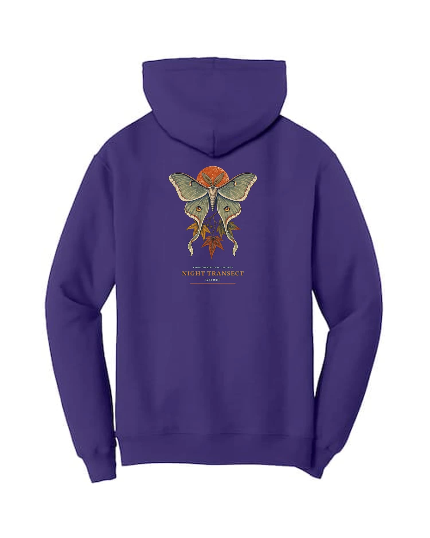 Night Transect hoodie in Purple, back view