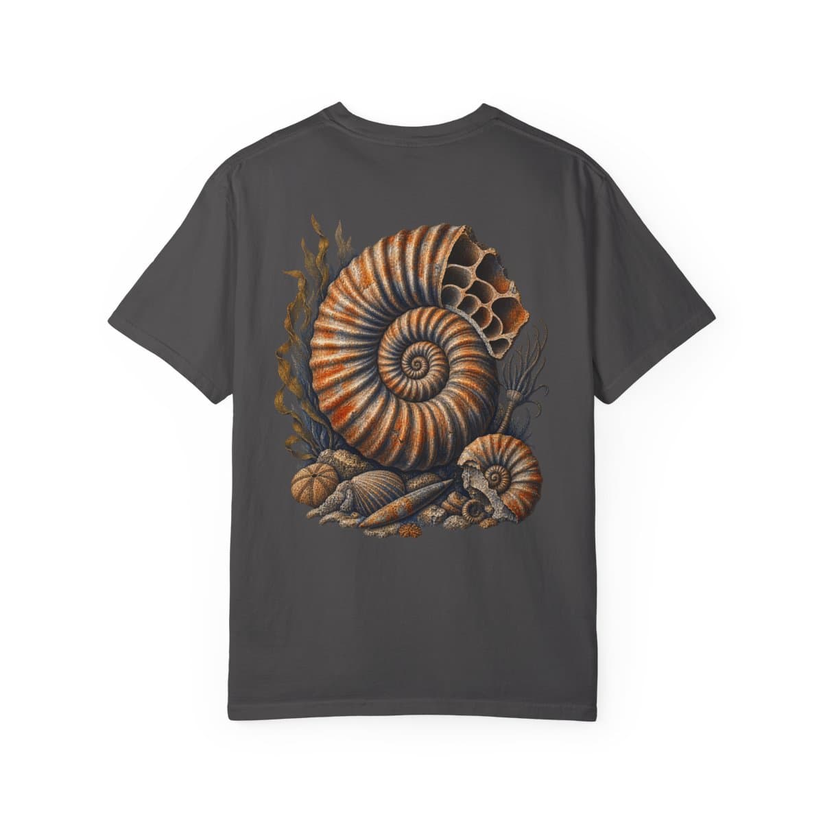Ammonite Field Study back print