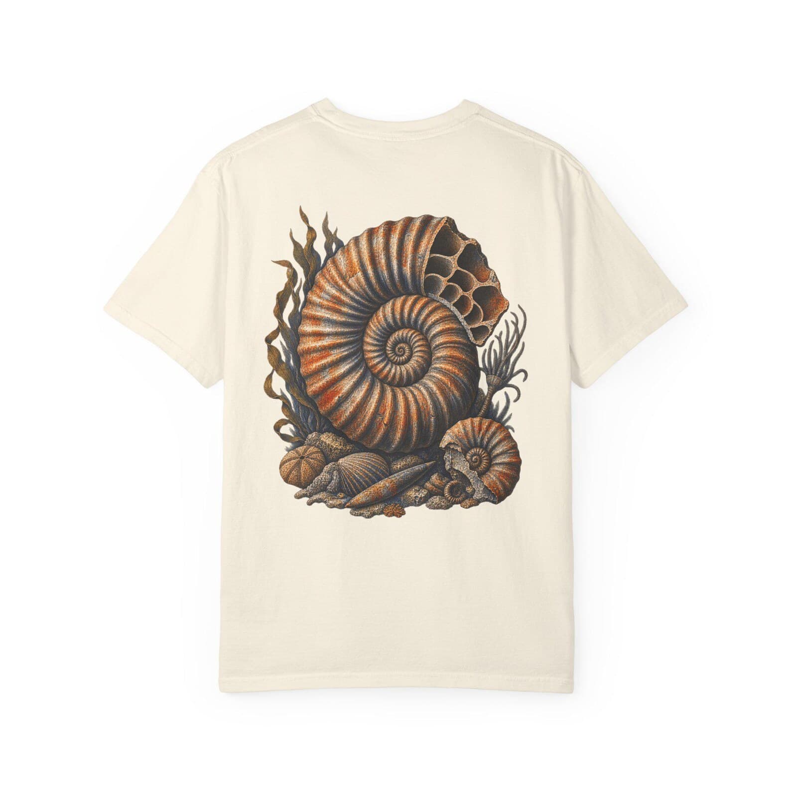 Ammonite Field Study on model