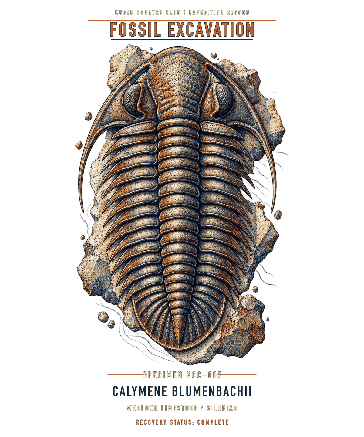 Trilobite fossil illustration with Silurian specimen labels and KCC accession number