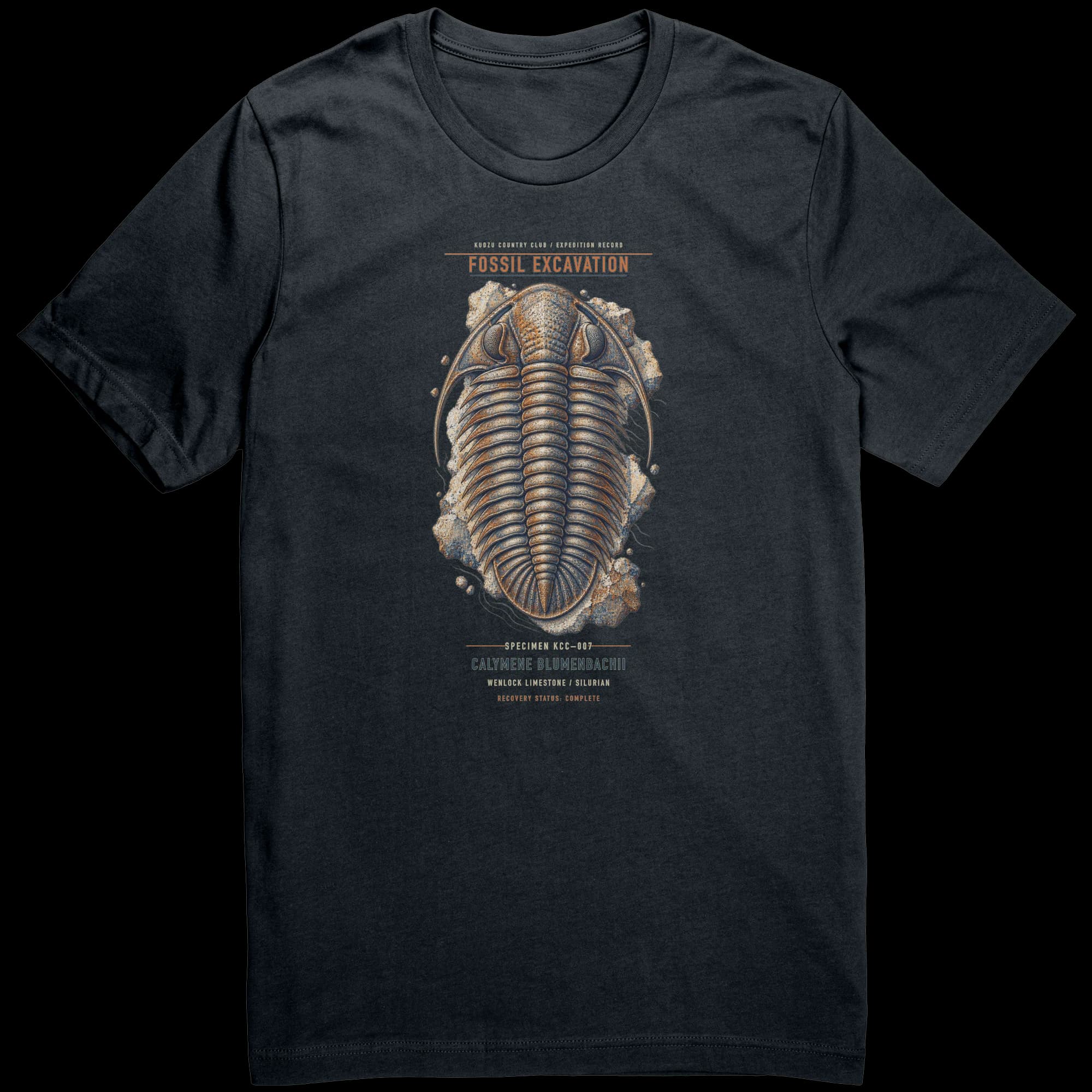 Fossil Excavation in Dark Grey