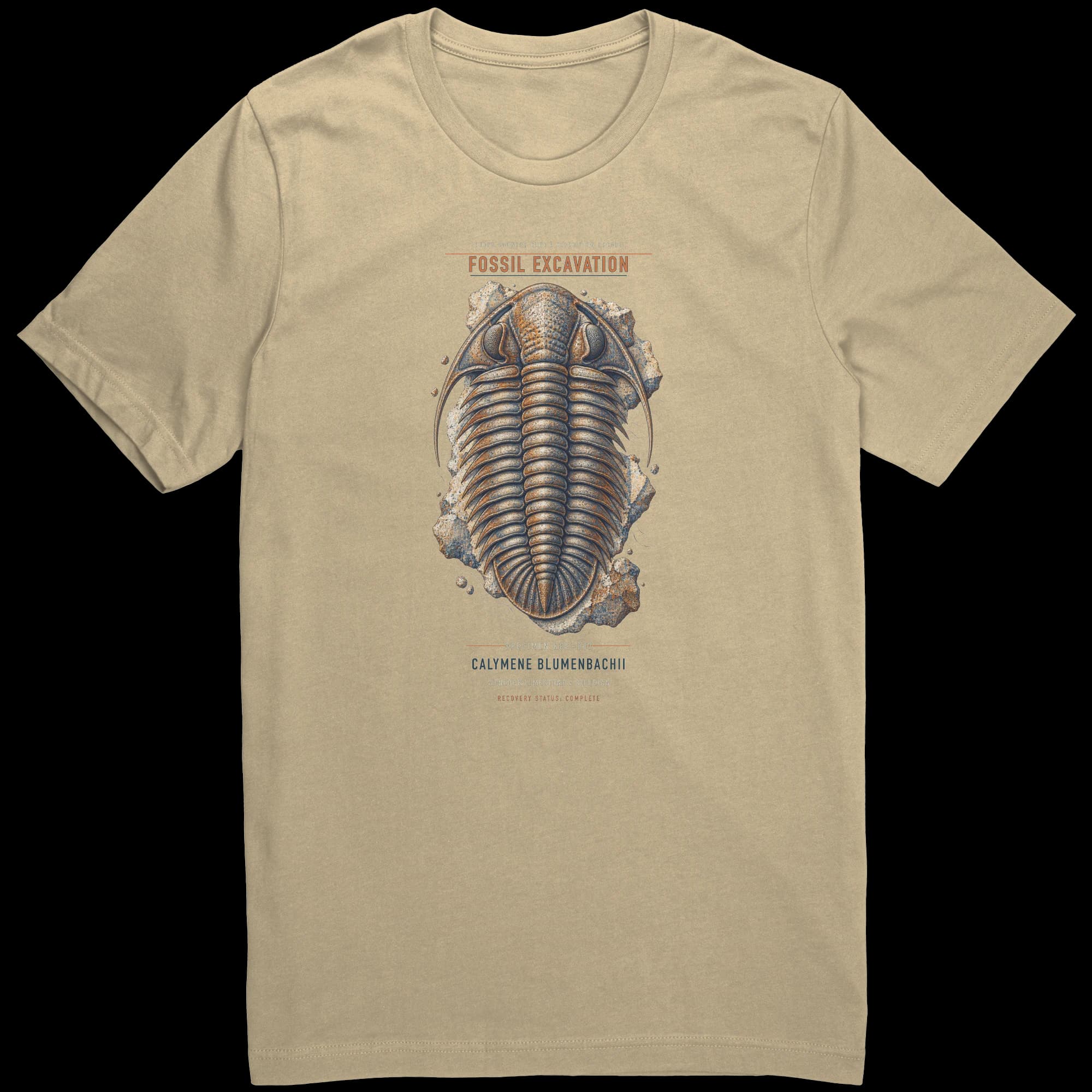 Fossil Excavation in Soft Cream